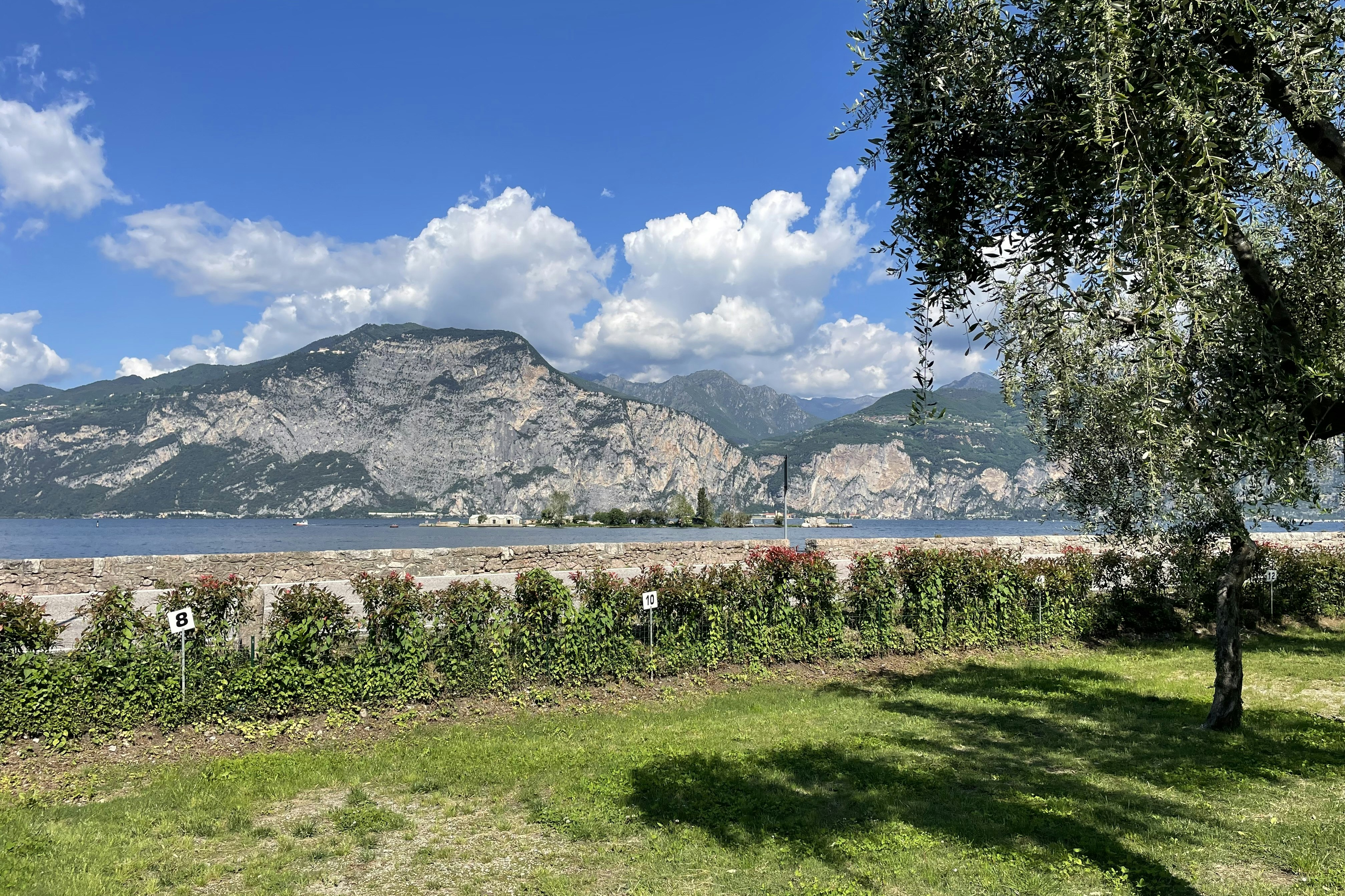 Grüne Wiese am Campingplatz mit Bäumen, dahinter ein Fluss und Berge unter blauem Himmel.