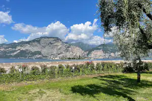 Grüne Wiese am Campingplatz mit Bäumen, dahinter ein Fluss und Berge unter blauem Himmel.