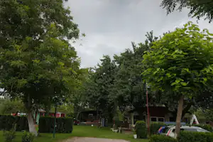 Camping Apatin Budžak - Wohnwagenstellplätze im Grünen auf dem Campingplatz
