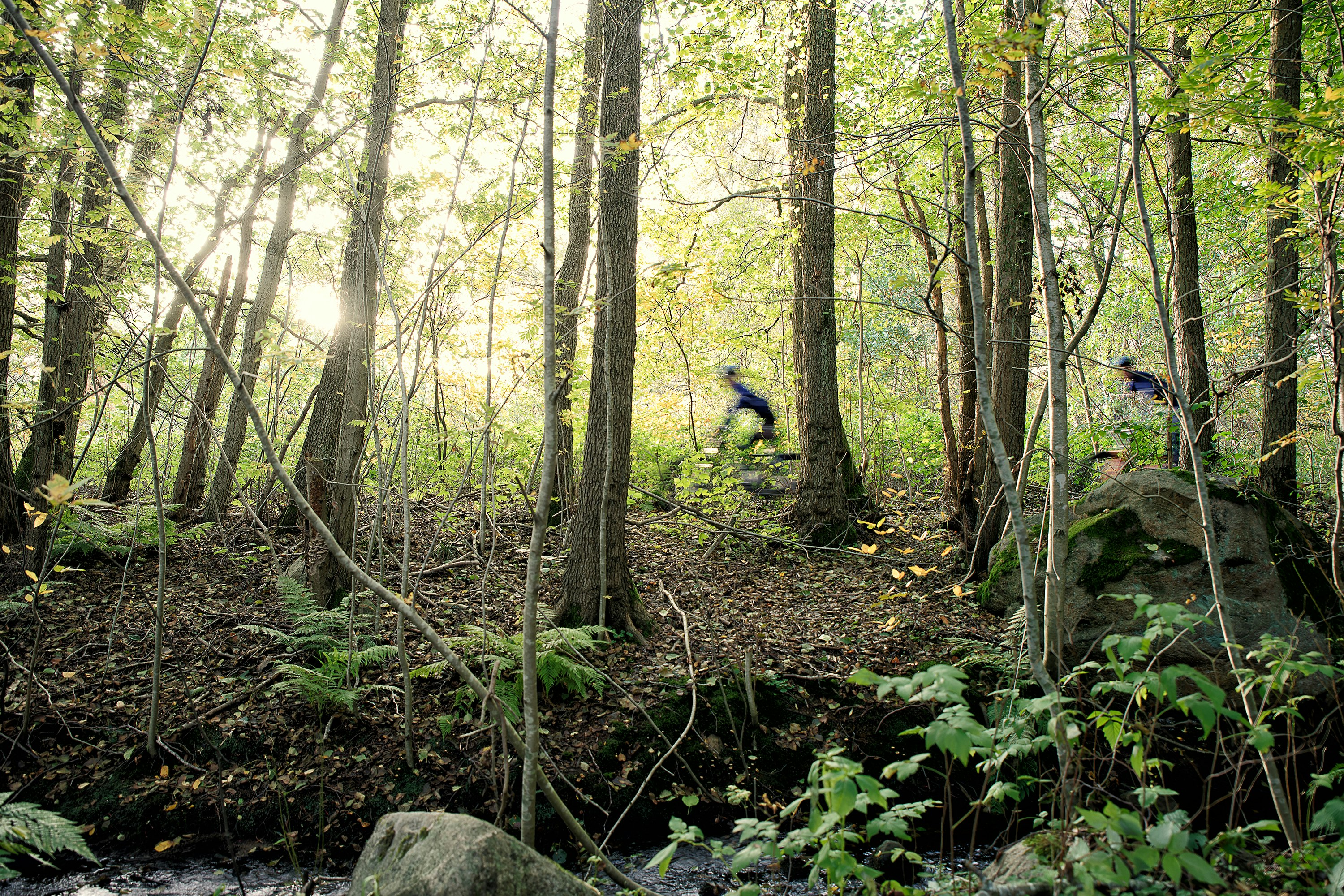 Camping Apelvikens - Radwege im Wald