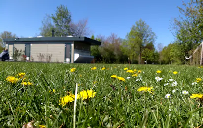 Camping & Appartement De Haarsluis