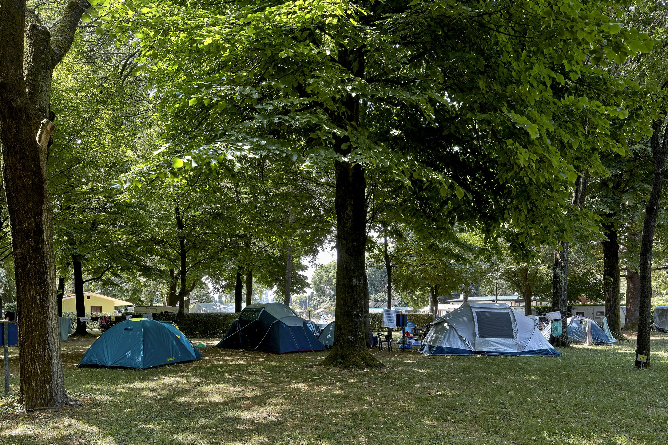 Camping Aquileia - Zeltplätze zwischen den Bäumen