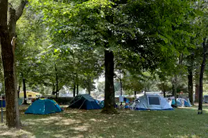 Zelte auf einer Wiese im Wald, zwischen Bäumen, mit Campingstühlen und einem blauen Zelt im Hintergrund.