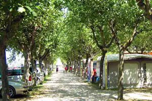 Camping Arcobaleno - Allee auf dem Campingplatz mit Stellplätzen zwischen den Bäumen