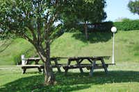 Camping Arenal de Moris  - Picknicktische auf dem Stellplatz vom Campingplatz im Grünen
