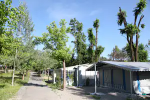 Camping Arizona - Wohnmobilstellplatz vom Campingplatz zwischen Bäumen