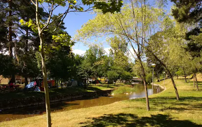 Camping Arlanza