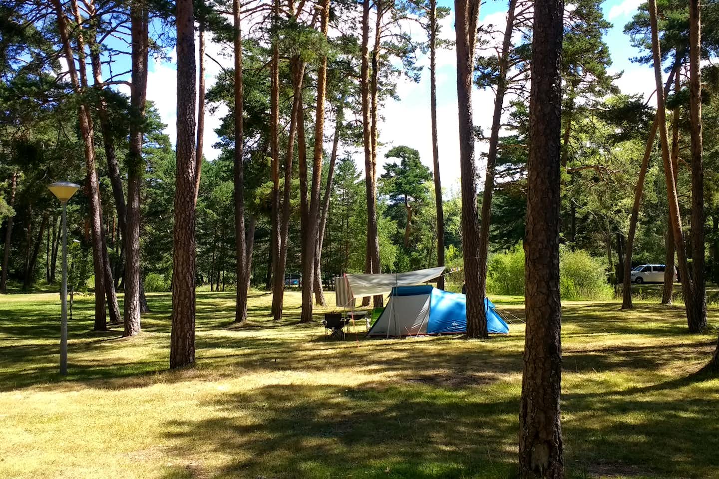 Camping Arlanza -  Zeltplatz unter Bäumen im Schatten
