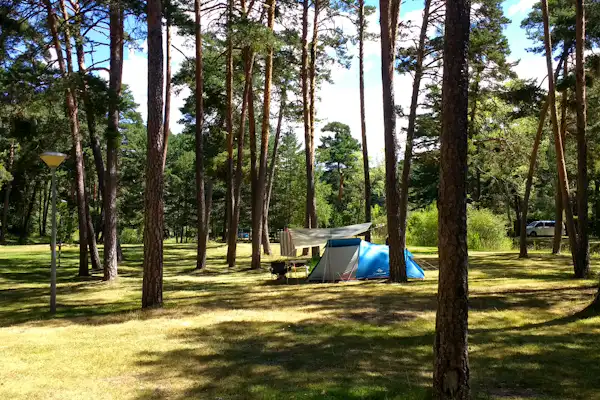 Camping Arlanza