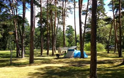 Camping Arlanza