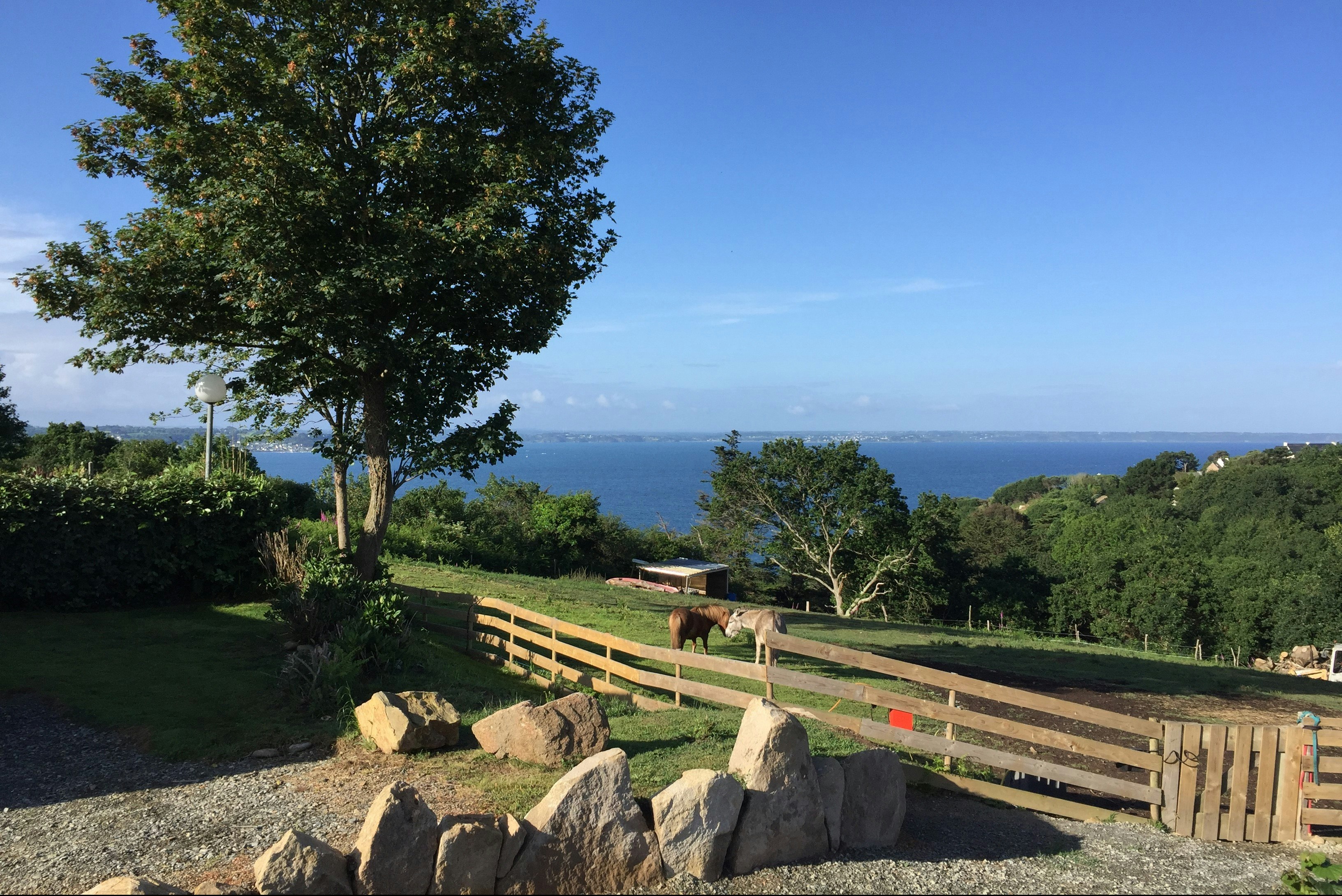 Blick vom Campingplatz über das Meer, mit Holzzaun, Steinen und Bäumen im Vordergrund.