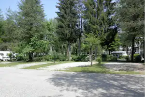 Camping Arneitz - Stellplätze des Campingplatzes mit Bäumen im Hintergrund