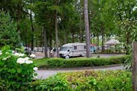 Camping Arneitz - Wohnwagen- und Zeltstellplatz zwischen Bäumen