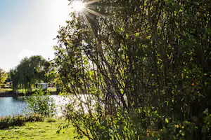 Camping Arnumer See - Blick auf den See