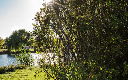 Camping Arnumer See