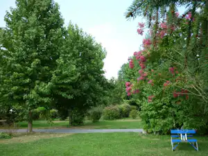 Grüner Campingplatz mit Rasen, Bäumen und einem kleinen blauen Tisch am Wegesrand, im Hintergrund blühende Sträucher.