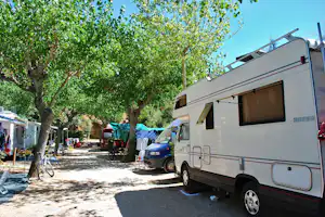 Camping Arrighi - Allee auf dem Campingplatz mit Stellplätzen an beiden Seiten