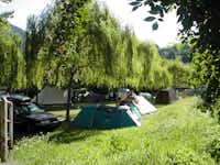 Camping Arvier - Die Stellplatzwiese des Campingplatzes