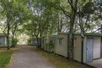Camping As Cancelas  -  Mobilheime vom Campingplatz zwischen Bäumen
