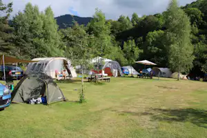 Campingplatz mit mehreren Zelten, Autos und Picknicktischen auf einer grünen Wiese, umgeben von Bäumen und Hügeln.