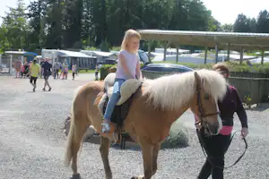 Camping Askehøj - Ausreiten auf dem Campingplatz