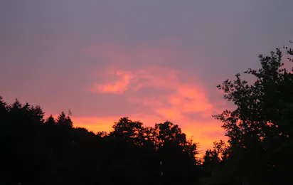 Camping Askehøj