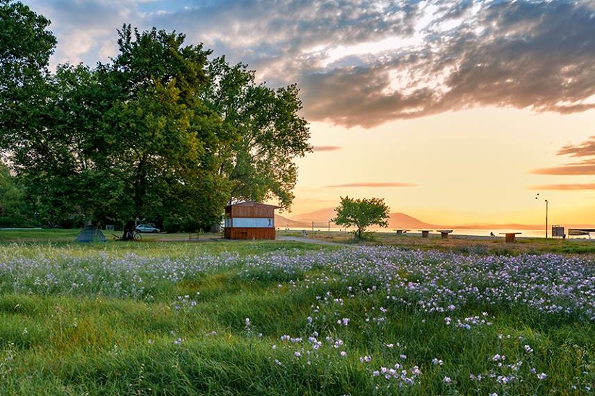 Camping ASPROVALTAS BEACH - Blick auf die geschlossene Strandbar und die Zeltwiese am Abend