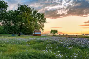 Campingwiese mit blühenden Blumen, Holzhütte und Sitzbänken am Rand, im Hintergrund Bäume und ein Sonnenuntergang.
