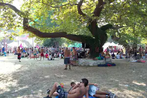 Campingplatz im Schatten großer Bäume: Familien und Kinder sitzen auf Decken, Zelte und Pavillons im Hintergrund.