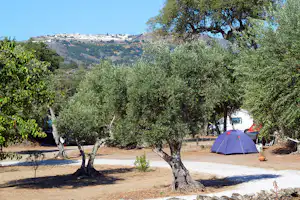 Campingzelt auf einem Stellplatz zwischen Olivenbäumen, mit Kiesboden, im Hintergrund ein Weg und Hügel.
