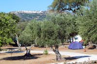 Camping Asseiceira - Stell- und Zeltplätze auf dem Campingplatz