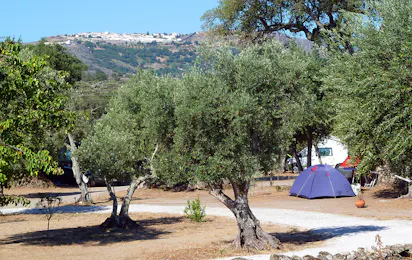 Camping Asseiceira