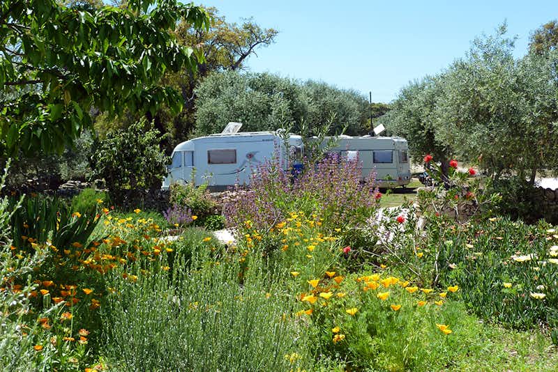 Camping Asseiceira - Wohnmobil- und  Wohnwagenstellplätze im Grünen