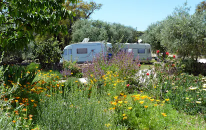 Camping Asseiceira