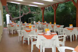 Camping Athens - Restaurant Terrasse im Grünen auf dem Campingplatz