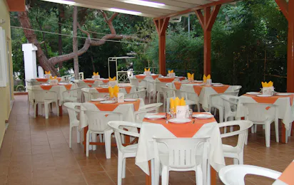 Camping Athens