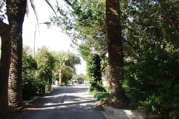Camping Athens