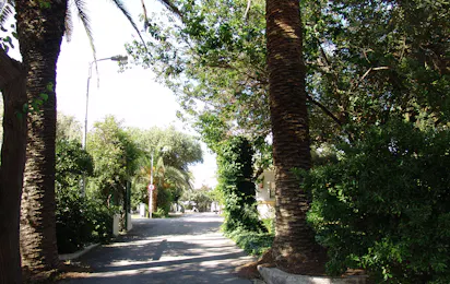 Camping Athens