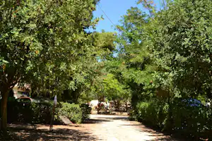 Camping Atreus - Zeltstellplätze im Grünen auf dem Campingplatz