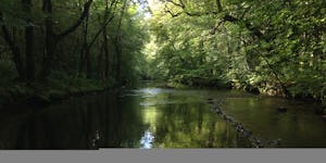 Camping Au Bois de Calais
