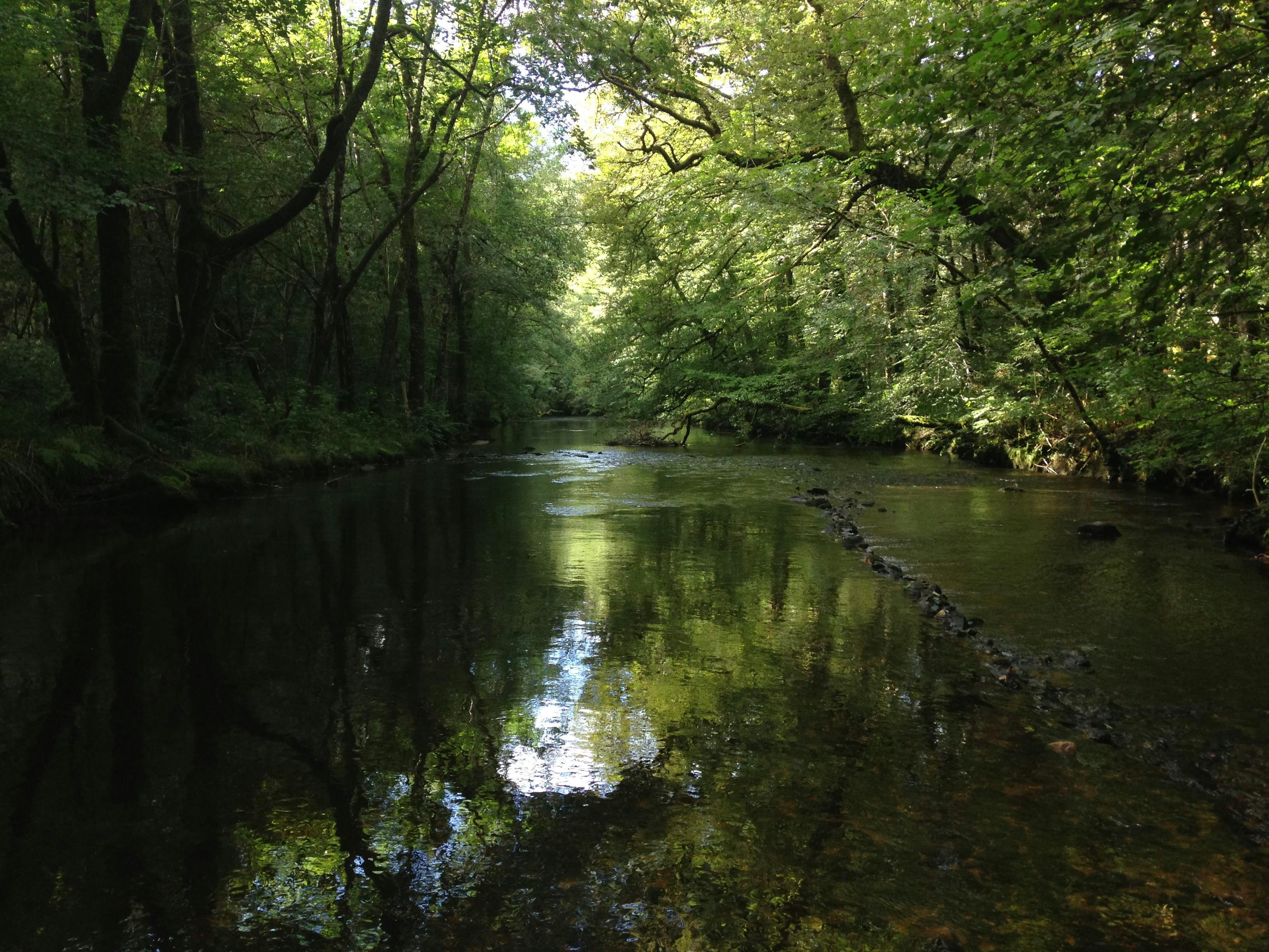 Camping Au Bois de Calais