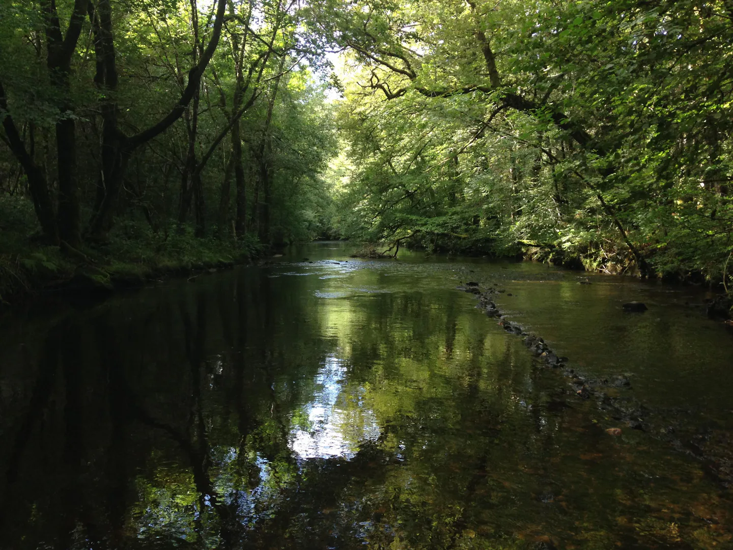 Camping Au Bois de Calais