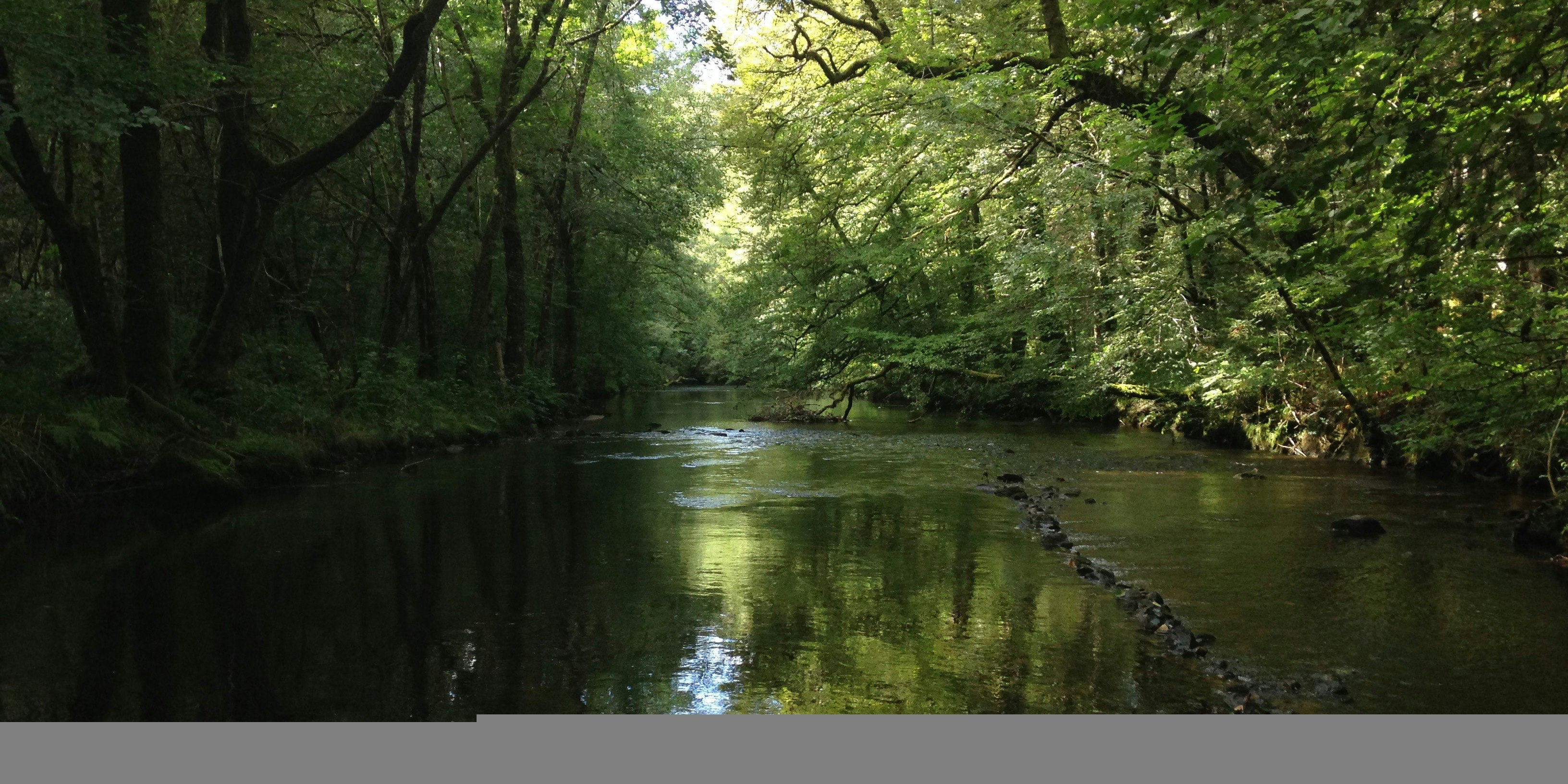 Camping Au Bois de Calais