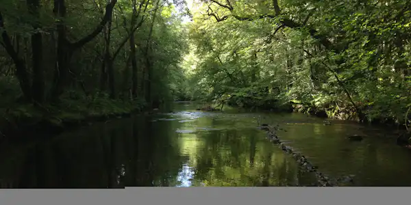 Camping Au Bois de Calais
