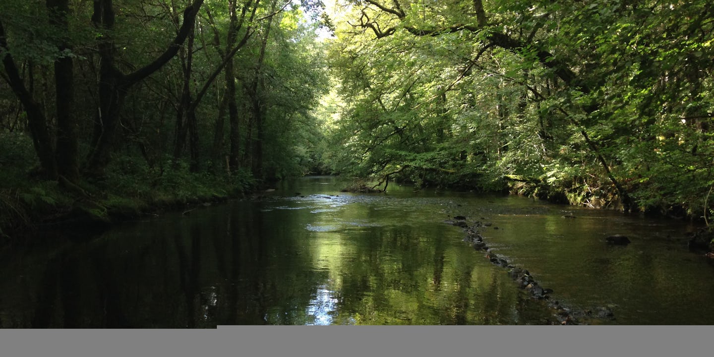 Camping Au Bois de Calais