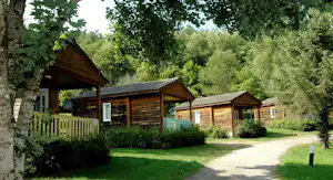 Holzhäuser und Bungalows auf einem Campingplatz im Grünen, mit Weg, Rasen und Bäumen im Hintergrund.