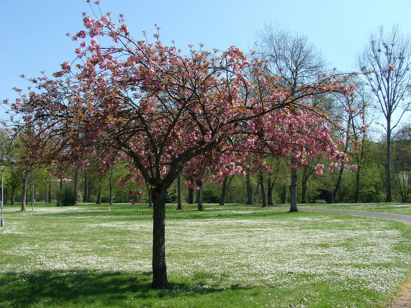 Camping Au coeur de Vendôme