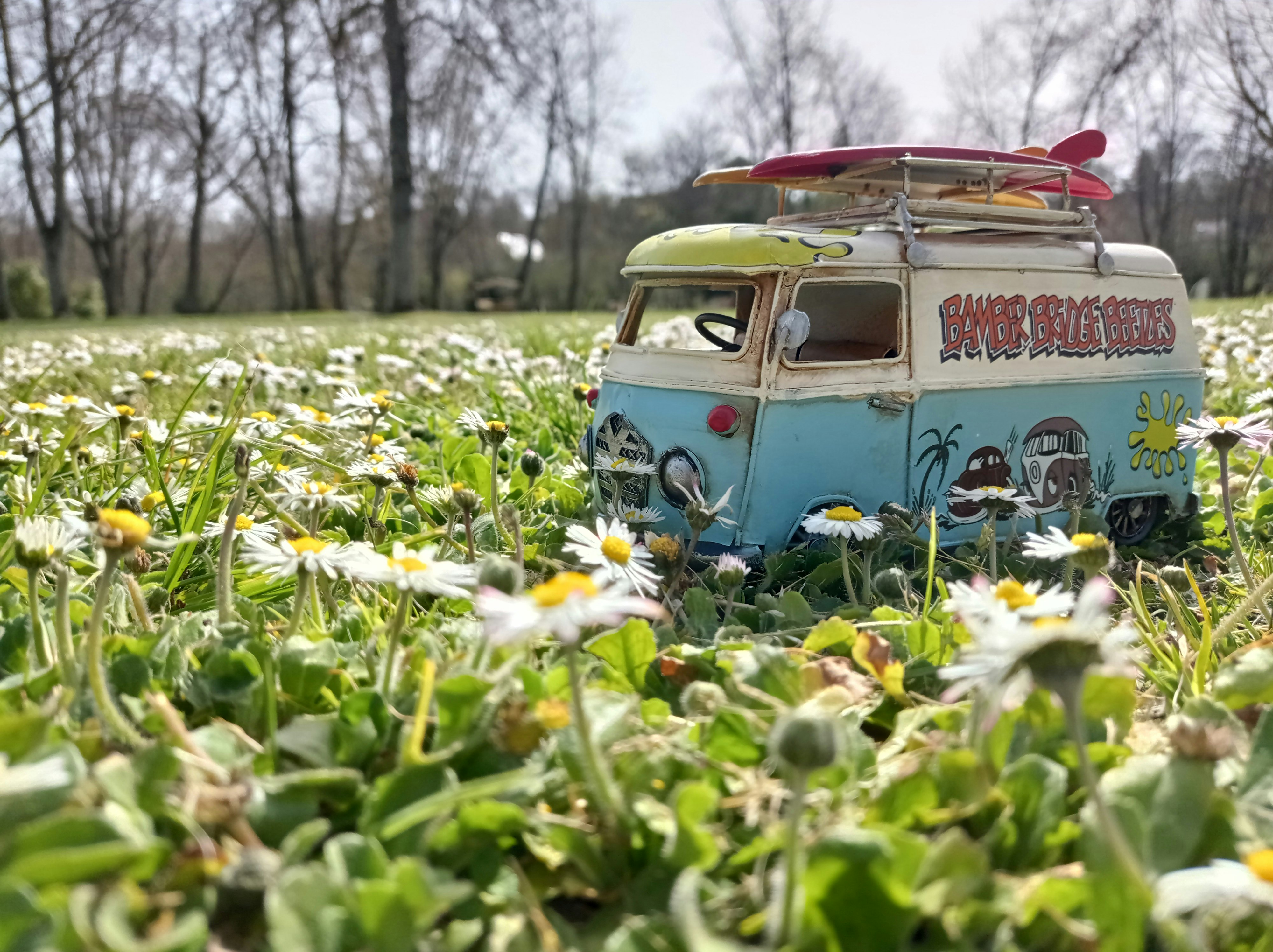 Camping Au coeur de Vendôme - Miniaturbus auf der Wiese