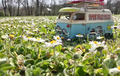 Camping Au coeur de Vendôme
