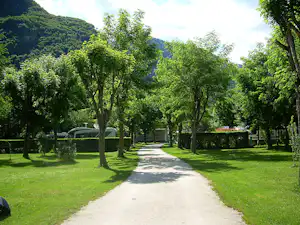 Schmaler Campingweg durch einen grünen Garten mit Bäumen, Hecken und einem Wohnmobil am Rand.